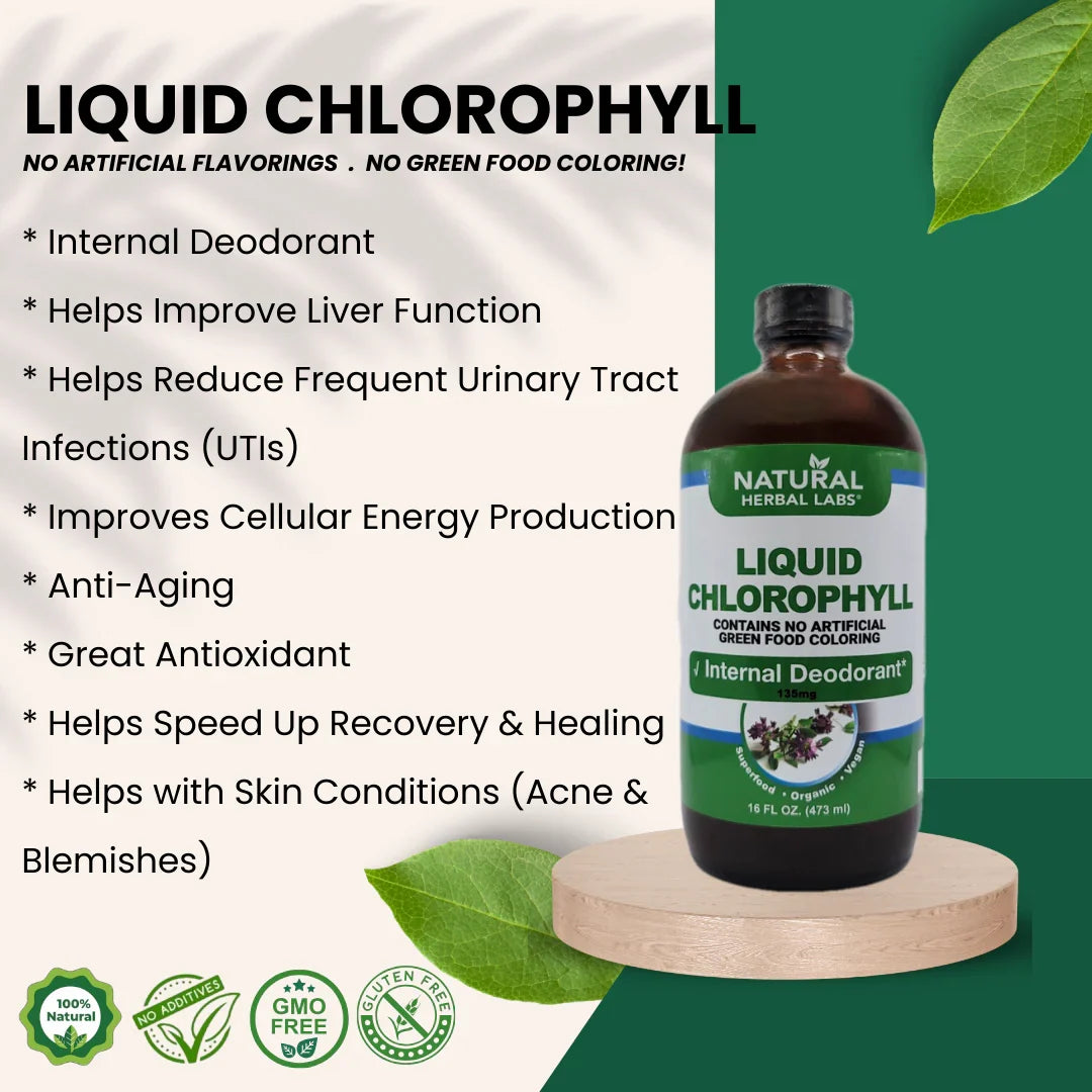 LIQUID CHLOROPHYLL - 16oz