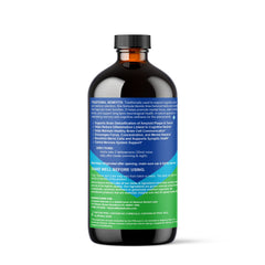 ALZHEIMER'S & DEMENTIA CARE SUPPORT - 16oz